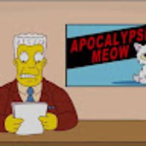 Meet your Posher, Edie